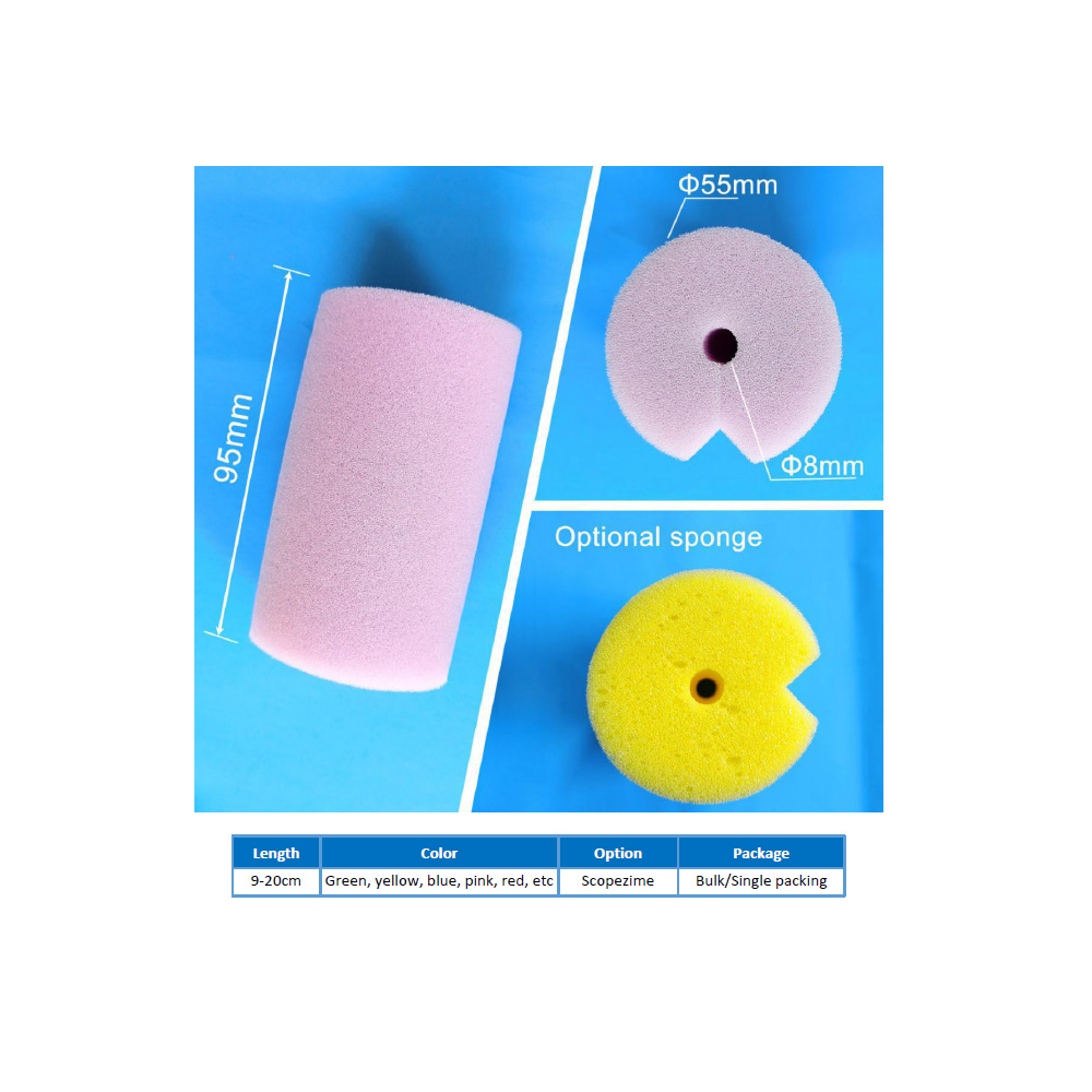 Endoscope sponge brush