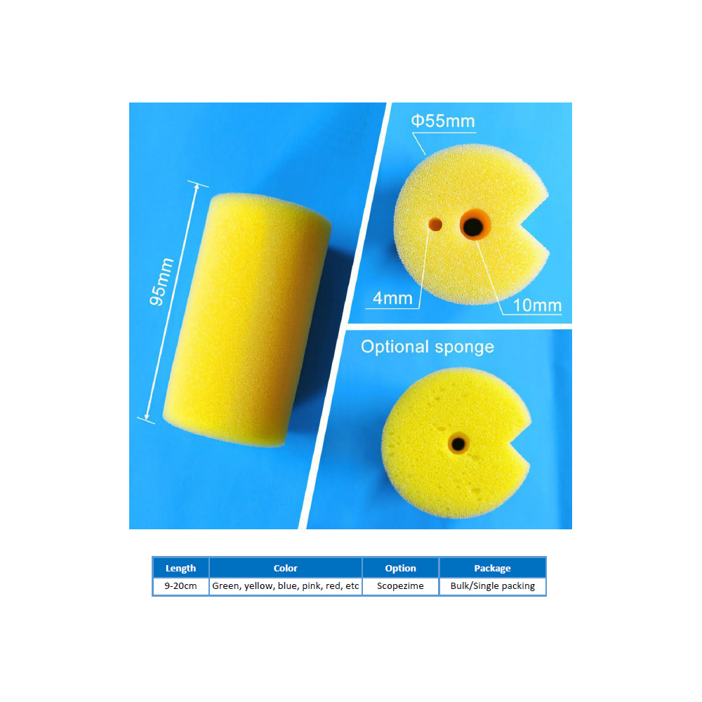 Endoscope sponge brush